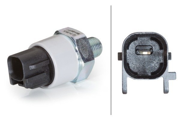 Датчик давления масла BEHR (HELLA), 6ZL014396041